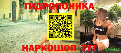 индика Кимры
