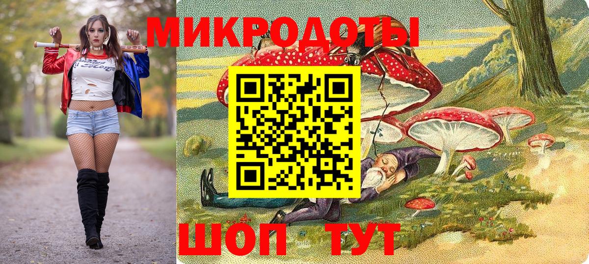 Галлюциногенные грибы Psilocybe Ялуторовск
