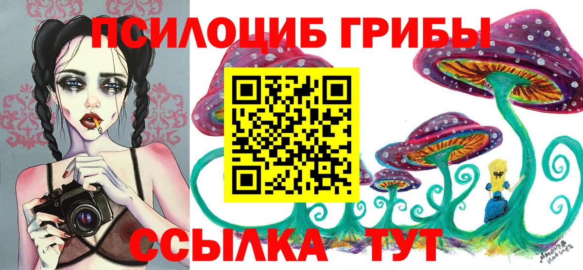 Псилоцибиновые грибы Magic Shrooms  купить закладку  Ялуторовск  Вход с VPN  Галлюциногенные грибы MAGIC MUSHROOMS 