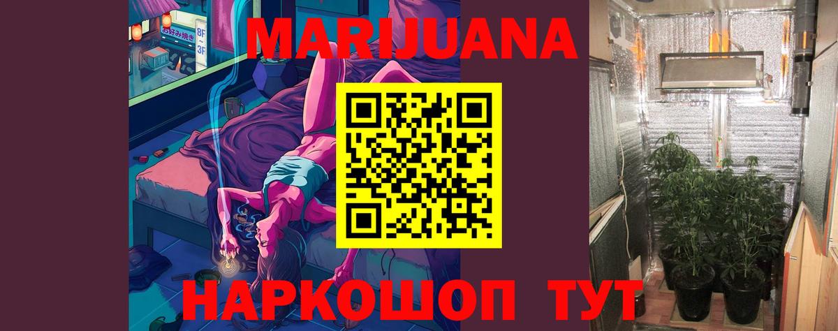 Бошки Шишки план Ялуторовск